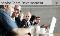 Services & Expertise - Senior Team Development